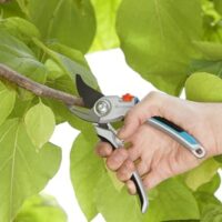 Pflanzenschonende Baumschere mit Bypass-Schneide für Äste und Zweige bis 25 mm Durchmesser, Gardena Gartenschere Alu B/L