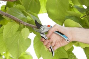 Pflanzenschonende Baumschere mit Bypass-Schneide für Äste und Zweige bis 25 mm Durchmesser, Gardena Gartenschere Alu B/L