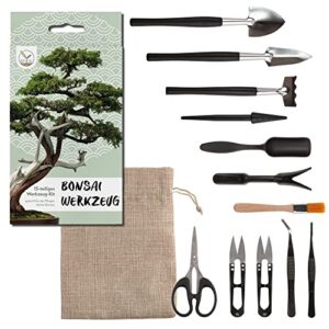 Happy Seed 13-teiliges Bonsai Werkzeugset mit praktischem Aufbewahrungsbeutel für Zimmerpflanzen und Bonsais - professionelles Gartenwerkzeug
