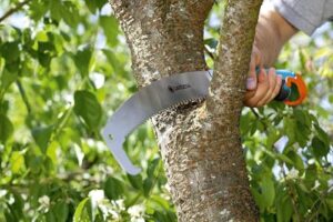 Gardena Combisystem Gartensäge, Astsäge für optimale Astschnitte, Sägeblattlänge 315 mm, mit Räumhaken, hartverchromt, Abrutschstopp, Präzisionszahnung