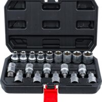 Einsetzbarer Steckschraubensatz mit Bit-Einsätzen und Antrieb Innensechskant 12,5 mm (1/2") sowie T-Profilen für Torx-Schrauben von T20 bis T70