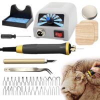 Holzverbrennungsset Pyrographie Brandmalerei-Maschine Holzverbrennungswerkzeug-Set mit abnehmbarer Holzverbrennungsstift und Temperatur-Einstellung von 250–700 ℃