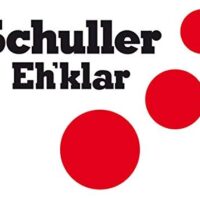 Multifunktions-Spachtel mit 2K-Grif, ideal für Heimwerker und Handwerker, perfekt für Möbel-Schmierung, Teppich-Befestigung und Abdichtung bei Fenstern und Türen.