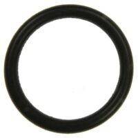 Karcher Dichtring EPDM 22 x 3, hochwertiger und langlebiger Spannring für Reinigungsprobleme