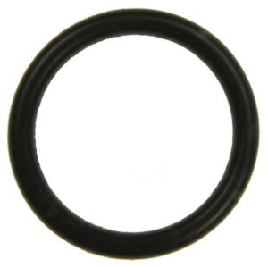 Karcher Dichtring EPDM 22 x 3, hochwertiger und langlebiger Spannring für Reinigungsprobleme