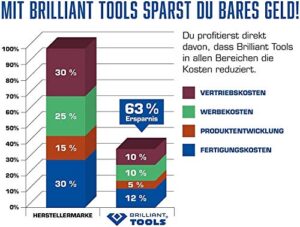BRILLIANT TOOLS Schraubendreher TORX T6 x 100 mm, hochwertige Verwendung nach DIN/ISO mit durchgehender Klinge