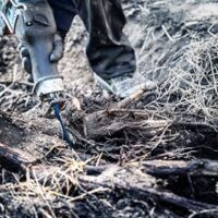 Professionelles Säbelsägeblatt für Bauholz, Hochleistungs-Säbelsägeblatt mit Bosch Carbide Technology, hohe Schneidegeschwindigkeit und lange Lebensdauer.