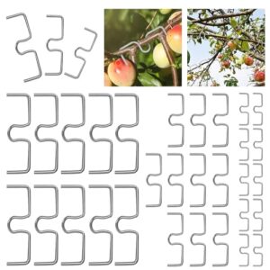 Astspreizer für Obstbäume, 30 Stück Metall, verschiedene Größen, ideal für Garten und Wohnung
