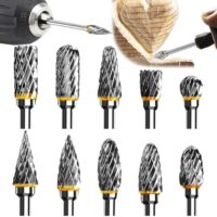 Hochwertiges Hartmetall Raspel Set mit 10 Stücken für Metall, Holz und Schnitzen