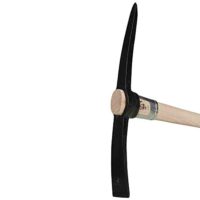 Hochwertige Kreuzhacke mit 3 kg schwerem Stiel aus Esche Holz, FSC-100% zertifiziert, ideal für Gartenpflege und -mauerwerk