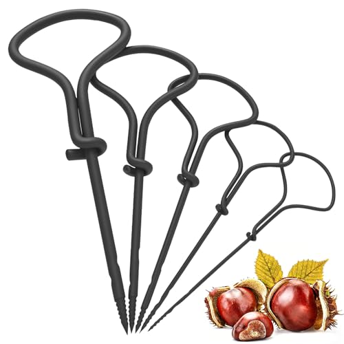 5 Stück Kastanienbohrer Set, Präzisions-Handbohrer für Kastanienbasteln, Robustes Holzbohrer-Set mit Ergonomischem Griff