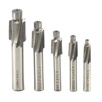 BIGP 5 Stück Senker Schaftfräser, Flachsenkersatz, Cutter Slot Bohrer CNC Drehfräser Set Werkzeug M3 M4 M5 M6 M8 4 Flöten HSS-AL für Kupfer, Aluminium, Stahl, Gusseisen