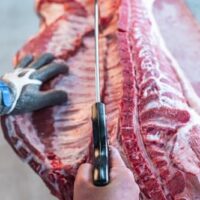 F. DICK Knochensäge, Gefriergütsäge (Säge 50 cm, nichtrostend, Kunststoffgriff ergonomisch)