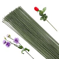 50 Stück Floristendraht, Floristik Draht 1mm Grüner Basteldraht, Blumendraht Grün 30 cm Lang, Für die Herstellung von Blumenhandwerk, künstlichen Blumen, Blumenbouquets