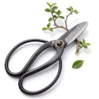 Scharfe Bonsai-Schere aus hochwertigem Stahl mit geschwungener Klinge und scharfem Blatt, ideal für die Pflege von Knospen, Blättern und Ästen in der Bonsai-Zucht.