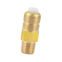 Namvo 1/4 Zoll Messing-Sicherheitsventil mit thermischer Freigabe, Temperaturregelventil, Hochdruck-Waschpumpe, tägliches Wärmeablassventil, Hochdruck-Waschwasserpumpe