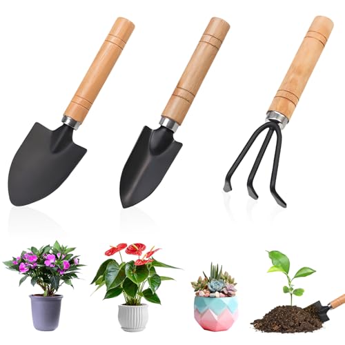 Gartenwerkzeug Set mit Gartenschaufel, Spaten und Rechen für kleine Pflanzen, Bonsai und Topfpflanzen